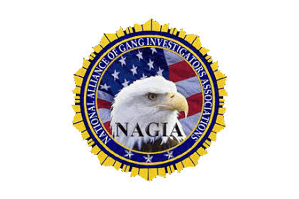 National Alliance of Gang Investigators Association logo with a bald eagle