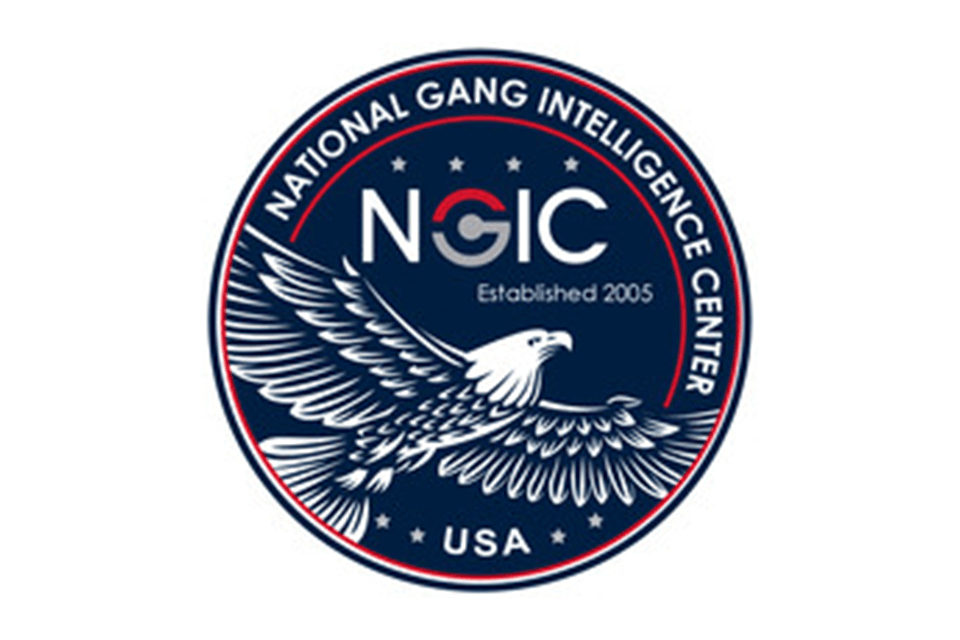 National Gang Intelligence Center logo of Eagle flying