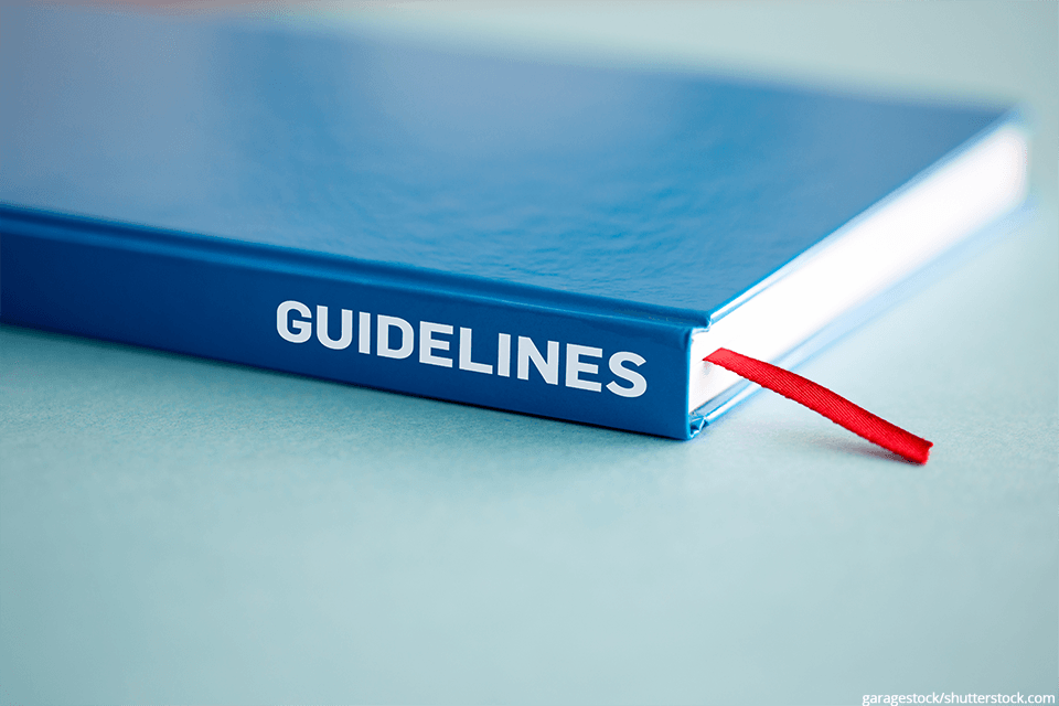 a blue book that says guidelines on the spine