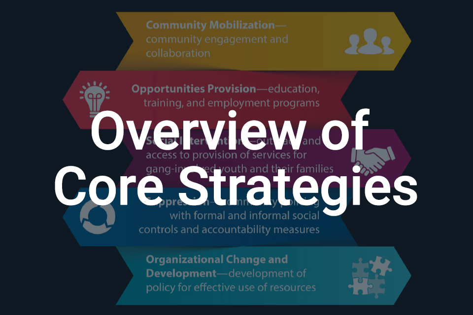 Overview of Core Strategies 