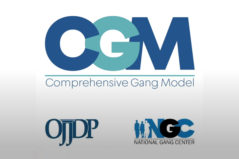 Comprehensive Gang Model