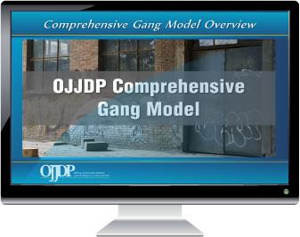 Computer monitor displaying "OJJDP Comprehensive Gang Model"