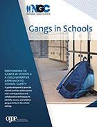 Gangs in Schools publication cover