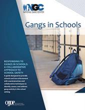 "Gangs in Schools" publication cover