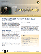 Juvenile Justice publication cover